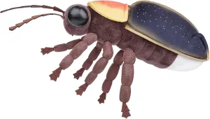 FRANKIEZHOU Simulation Firefly Stuffed Animal-10 inch,Glow in The Dark,Soft Toy for Kids,Home Decor,Hugging Toy