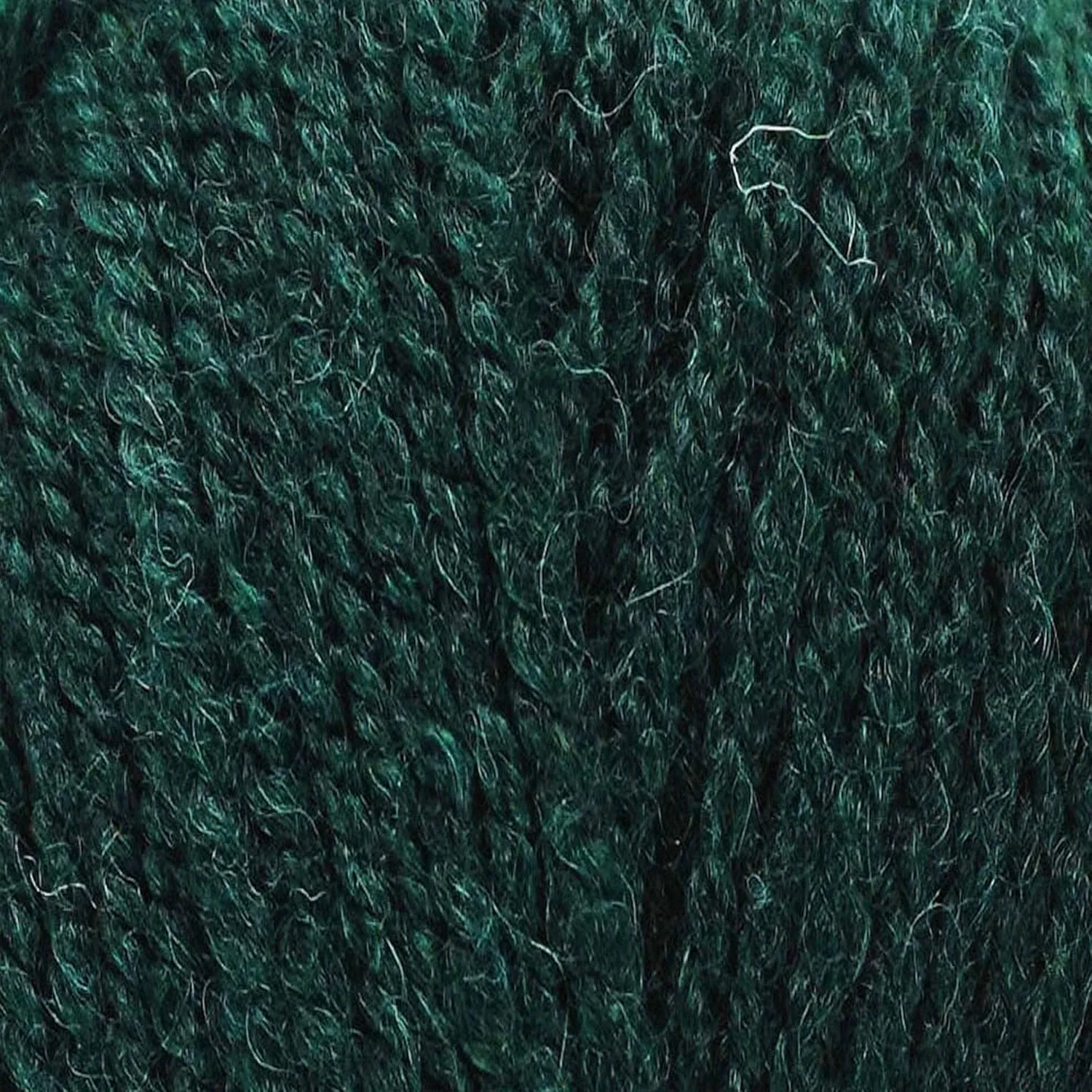 Plymouth Yarn for Knitting Encore Worsted Forest Green 0204, 5-Skeins (Same Dyelot, Total: 500 gr, 1000 yds), Medium Weight #4, 75% Acrylic/25% Wool Blend, with Project Bag