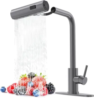 Single Hole Kitchen Faucets with Pull Down Sprayer, Single Handle, High Flow Water, Pull Out Tap, Stainless Steel Sink Faucet in Gray, Suitable for Farmhouse Camper Laundry Rv Bar