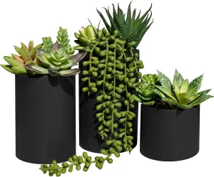 Winlyn Set of 3 Assorted Artificial Potted Succulent Plants Faux Succulent Arrangements in Black Concrete Pots Decorative Fake Plants 4.7"-9.1" Tall for Indoor Home Bathroom Office Desk Table Shelf