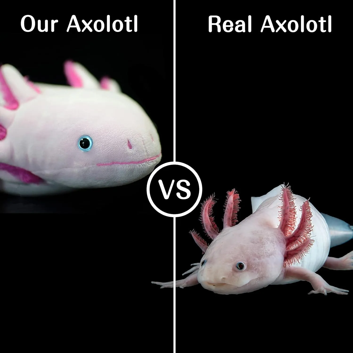 ZHONGXIN MADE Axolotl Plush Toy - 21 Inch Soft Creepy Stuffed Animals, Cute Pink Lizard Toys, Real Plushie Gift Collection for Kids